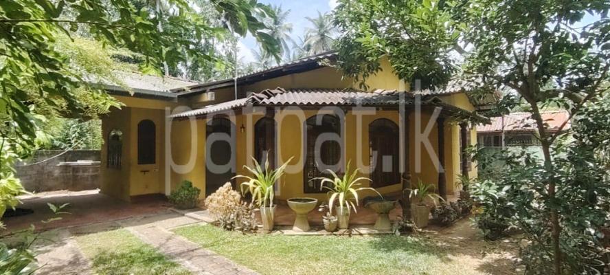 premium-listing-image