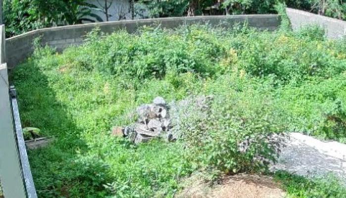 Residential Land for Sale in Horana