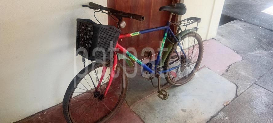 Used Bicycle