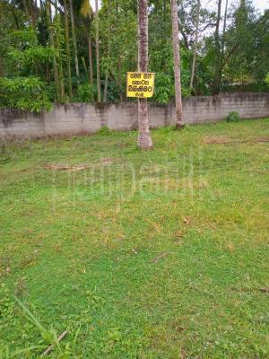 premium-listing-image