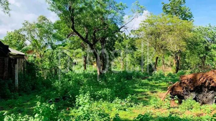 premium-listing-image