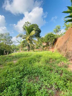 premium-listing-image