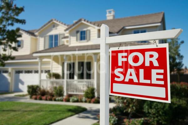 premium-listing-image