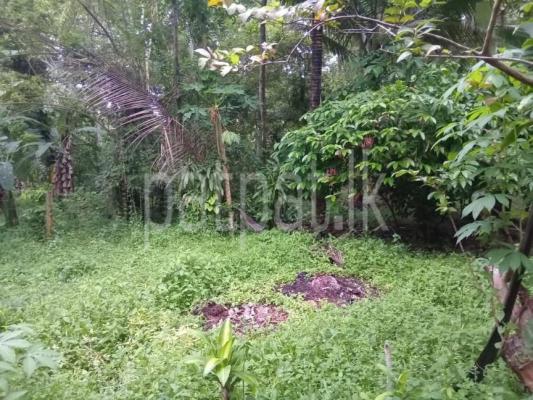 Commercial Land for Sale in Divulapitiya