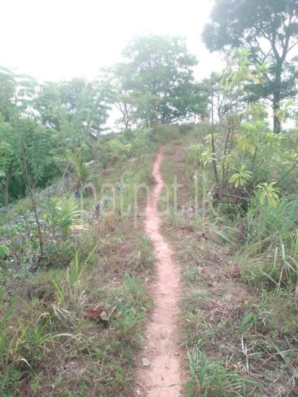 Agricultural Land for Sale in Kandy