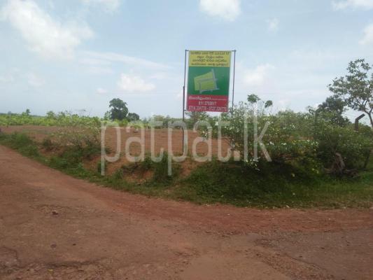 premium-listing-image