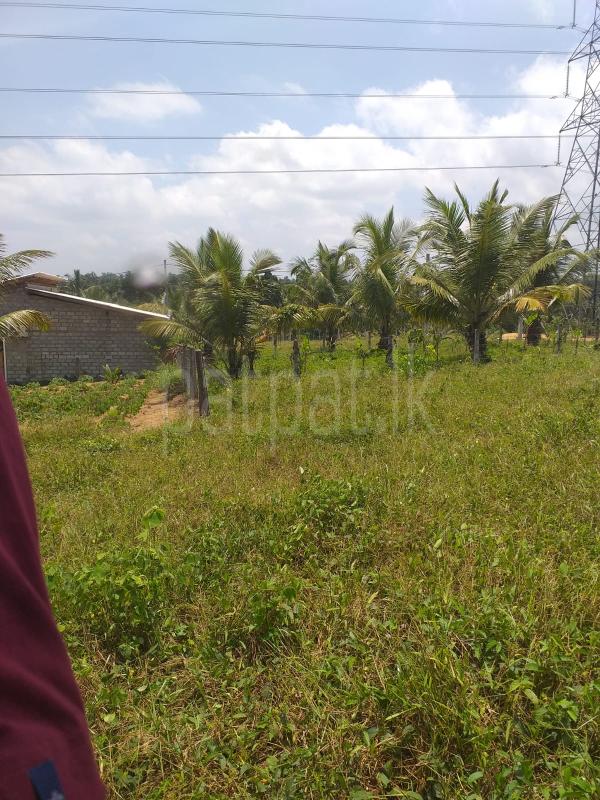 Residential Land for Sale in Henegama
