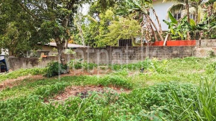 premium-listing-image