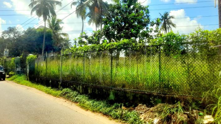 Agricultural Land for Sale in Delgoda