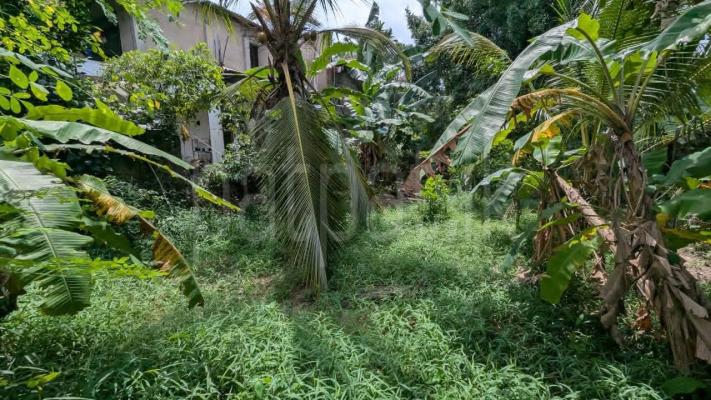 Residential Land for Sale in Yakkala