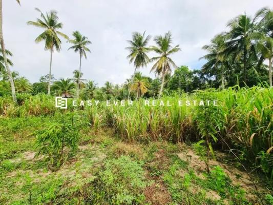 Commercial Land for Sale in Minuwangoda