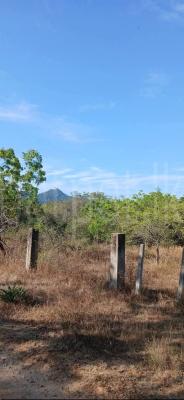 Residential Land for Sale in Tissamaharama
