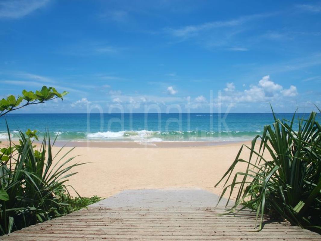 Commercial Land for Sale in Wadduwa