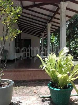 premium-listing-image