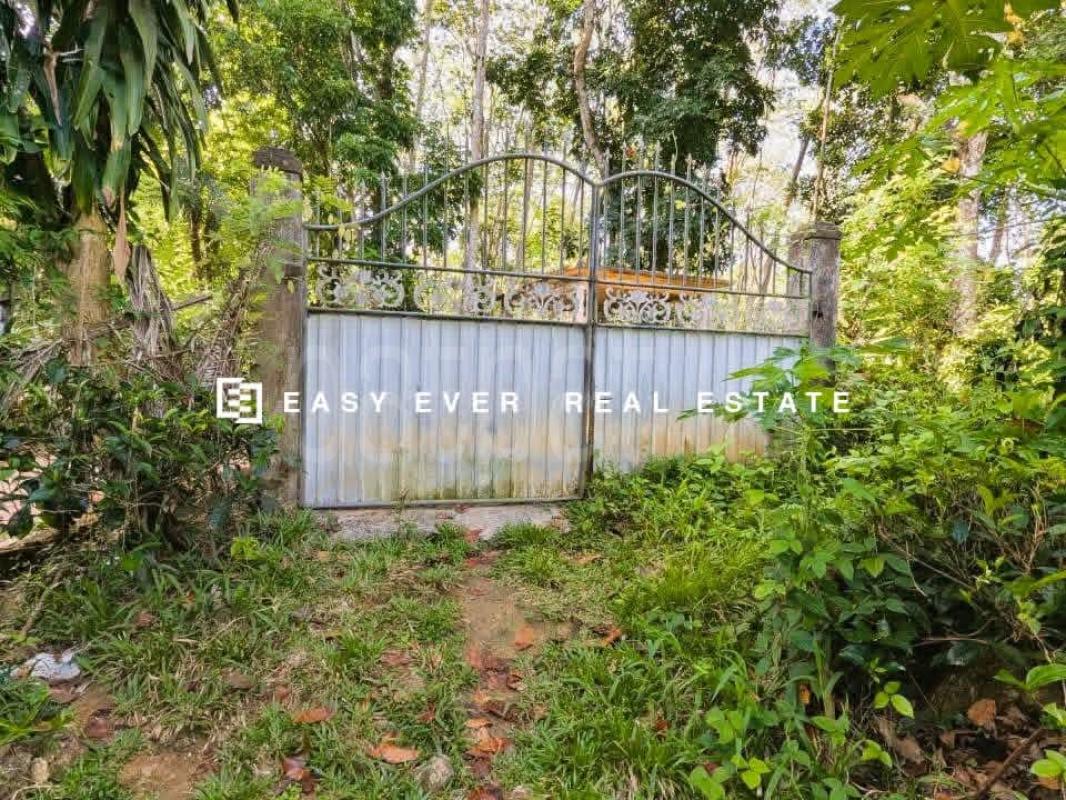 Residential Land for Sale in Algama