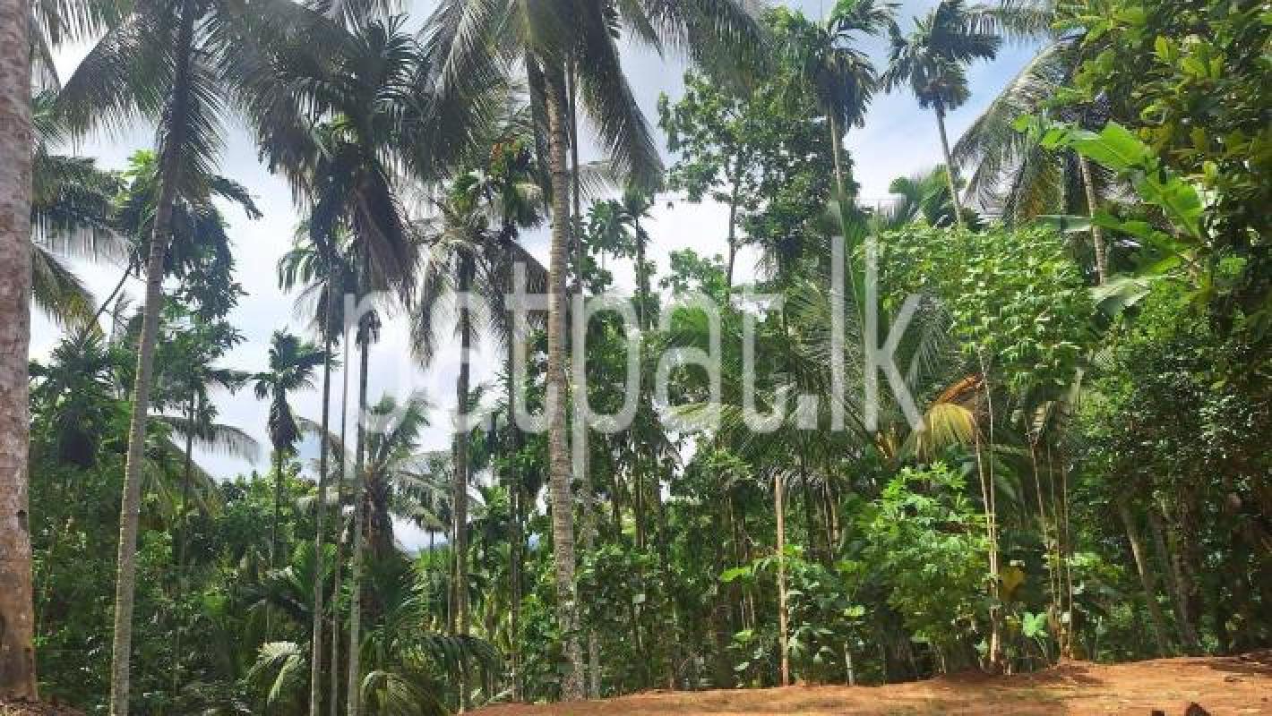 Residential Land for Sale in Kurunegala