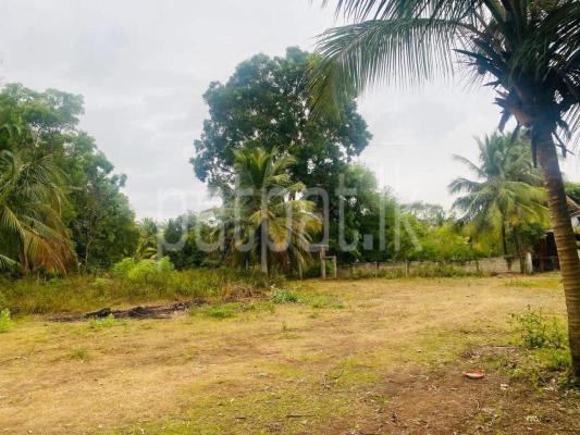 Agricultural Land for Sale in Anuradhapura