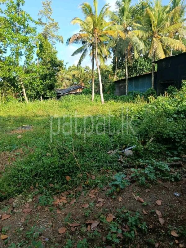 Residential Land for Sale in Akarawita