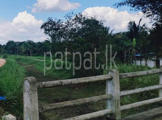 premium-listing-image