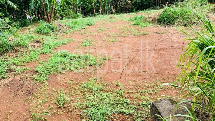 premium-listing-image