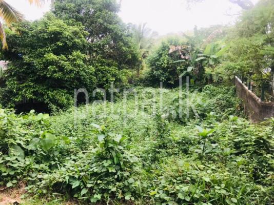 premium-listing-image