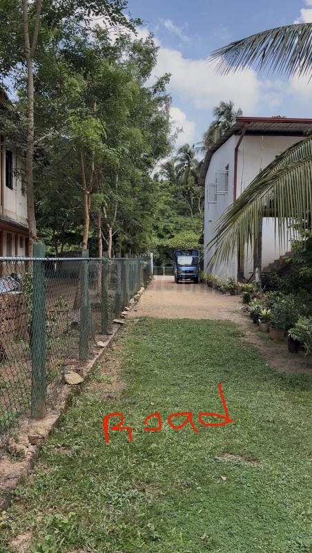 Residential Land for Sale in Giriulla