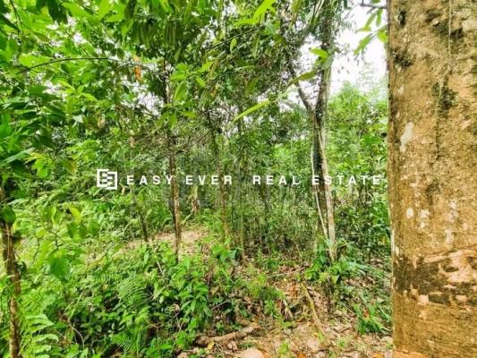 Commercial Land for Sale in Horana