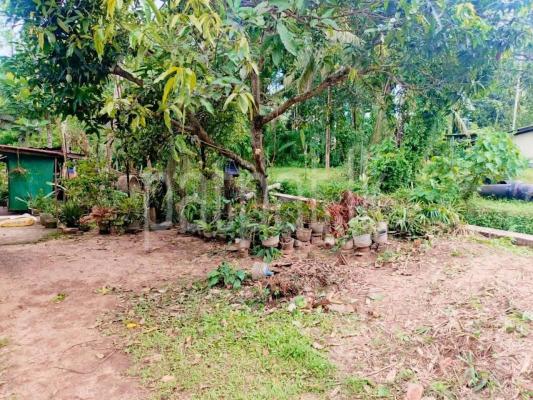 Residential Land for Sale in Divulapitiya