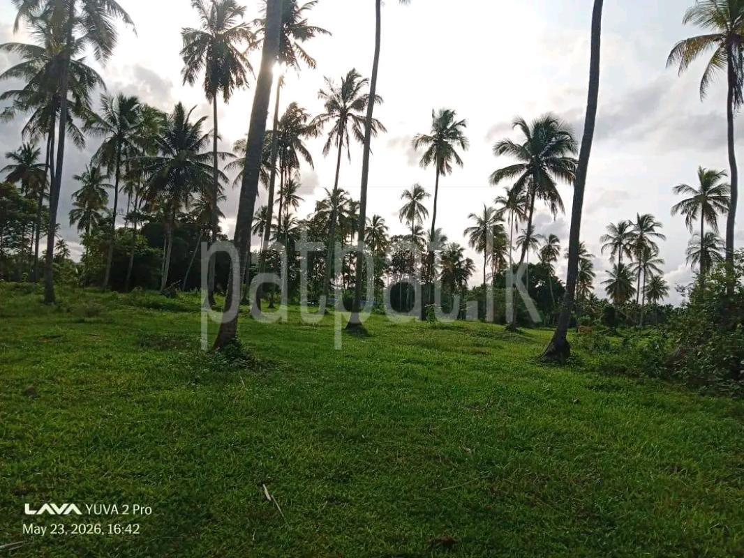 Agricultural Land for Sale in Maho