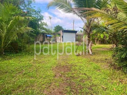 premium-listing-image