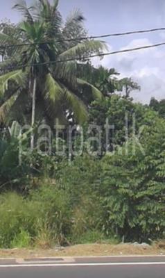 premium-listing-image