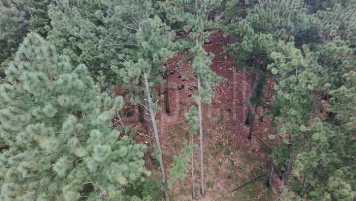 Commercial Land for Sale in Haputale