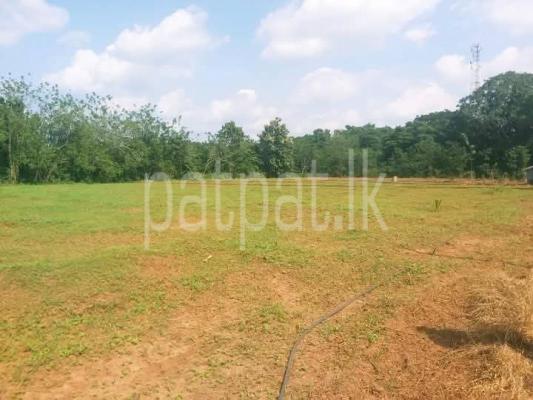 Residential Land for Sale in Sella Kataragama