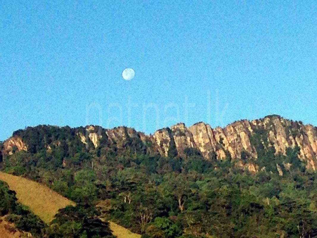 Residential Land for Sale in Kandy