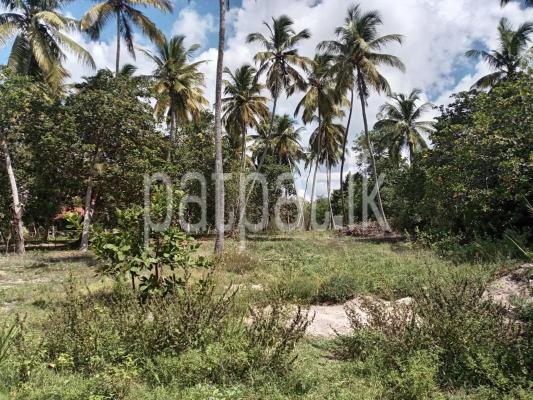 Residential Land for Sale in Tangalla