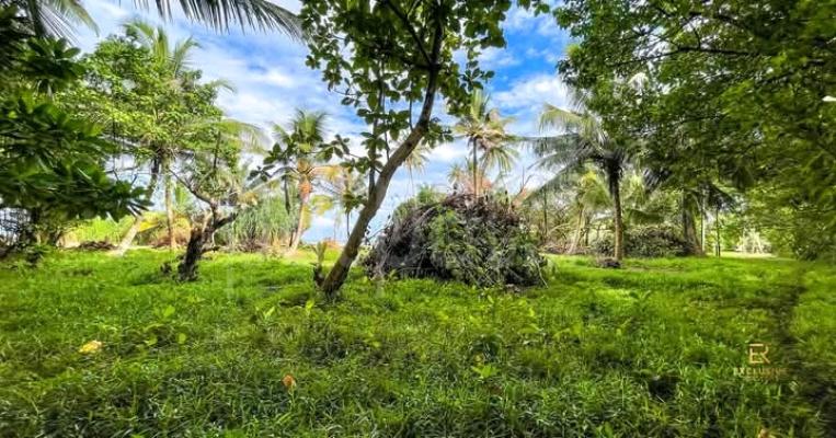Commercial Land for Sale in Balapitiya