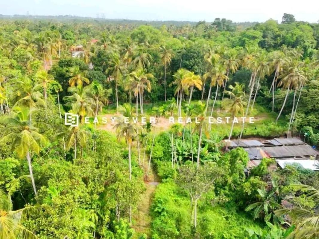 Commercial Land for Sale in Minuwangoda