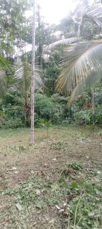 Residential Land for Sale in Veyangoda