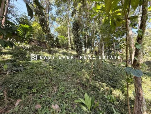 Residential Land for Sale in Nittambuwa