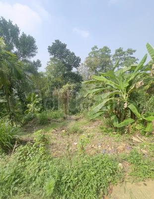 Residential Land for Sale in Ratnapura