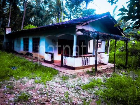 Residential Land for Sale in Balangoda