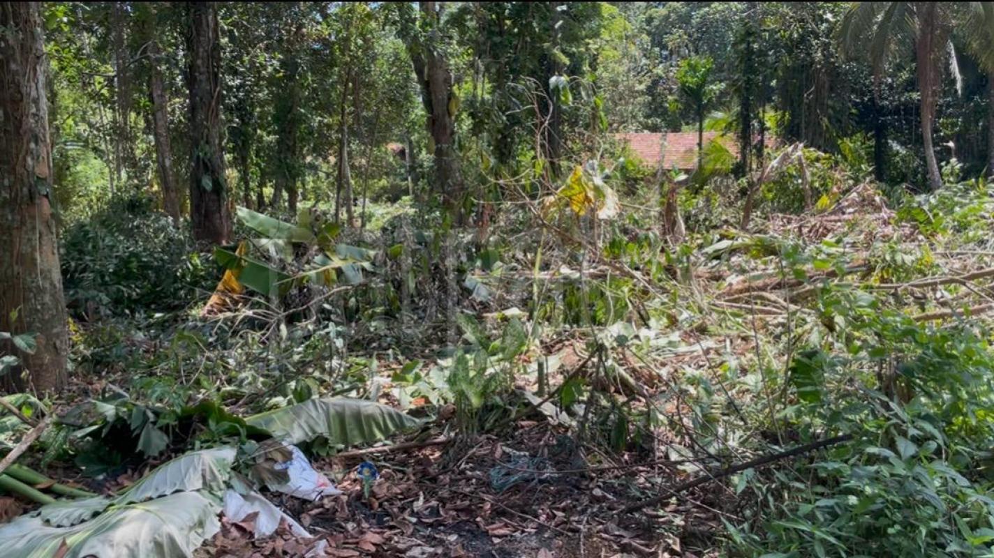 Commercial Land for Sale in Yatiyana