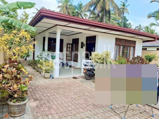 premium-listing-image