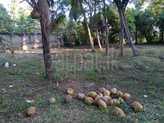 Commercial Land for Sale in Katunayake