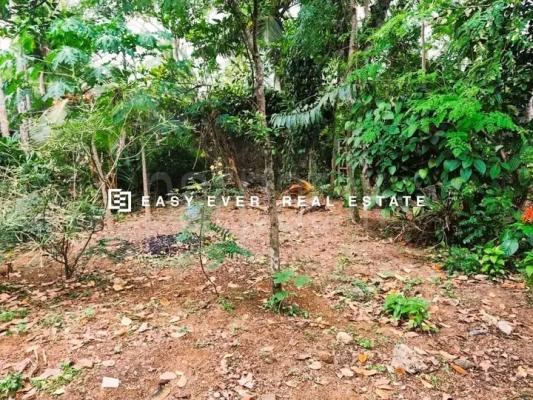 Commercial Land for Sale in Minuwangoda