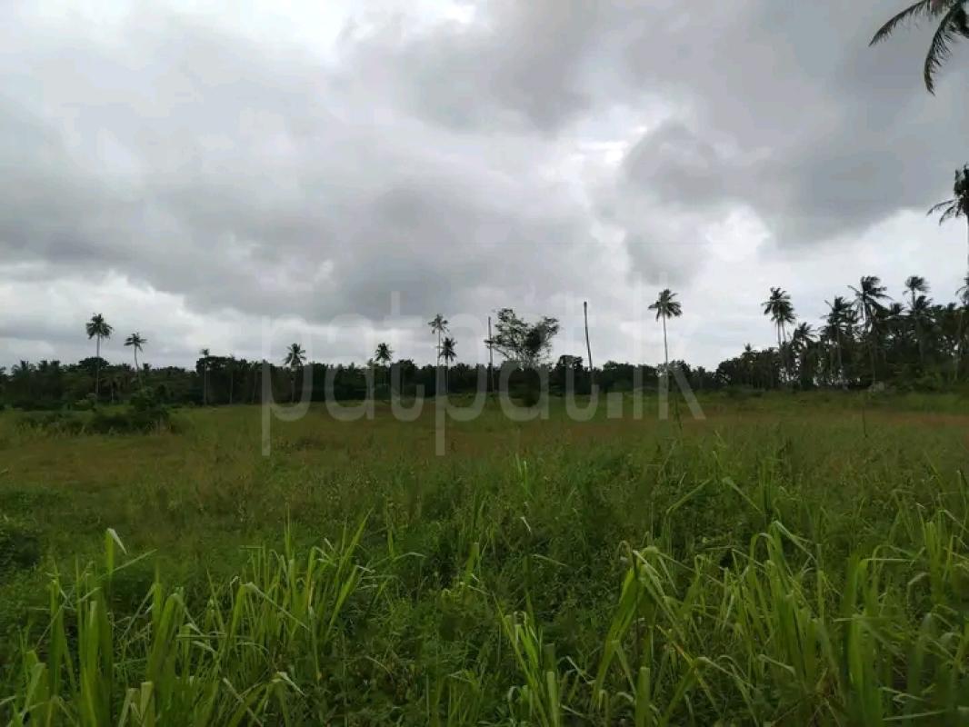 Residential Land for Sale in Giriulla