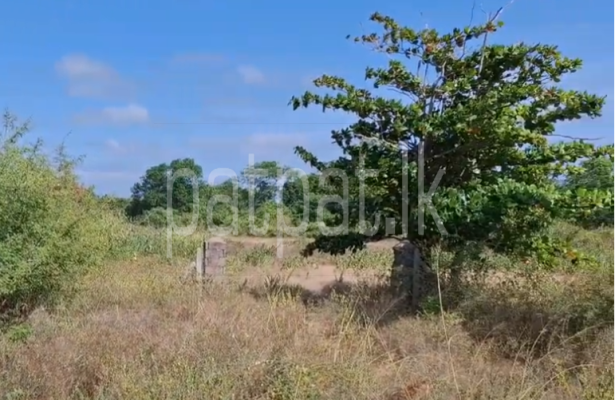 Residential Land for Sale in Vavuniya