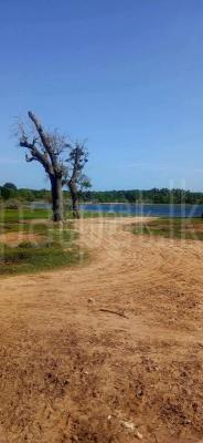 premium-listing-image