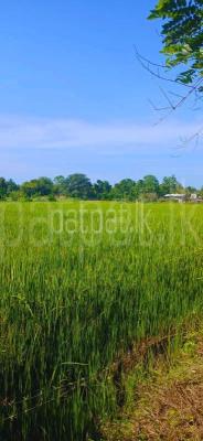 Agricultural Land for Sale in Sella Kataragama