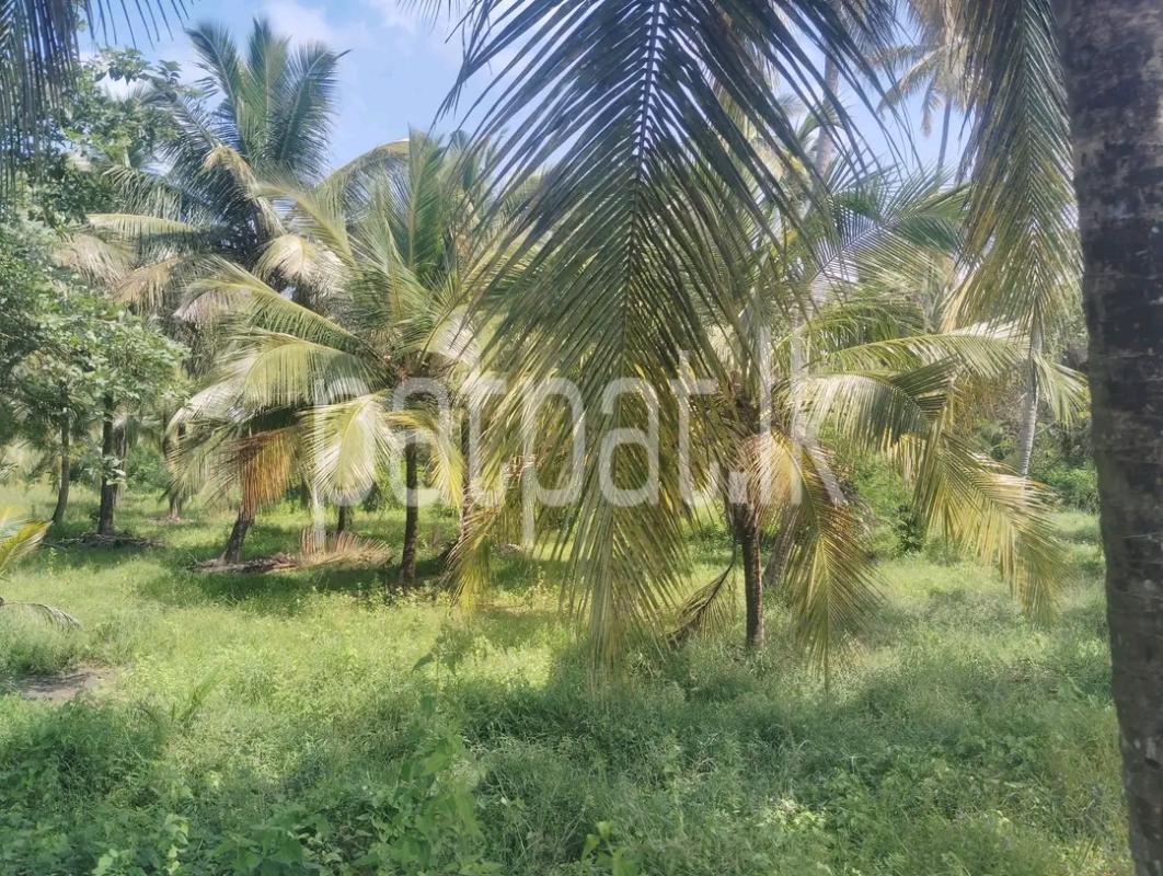 Agricultural Land for Sale in Mawathagama